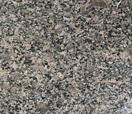 皇(huang)室啡(fei)（不(bu)染(ran)色）