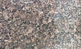 新鑛皇室(shi)啡